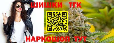 spice Гагарин