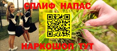 spice Гагарин