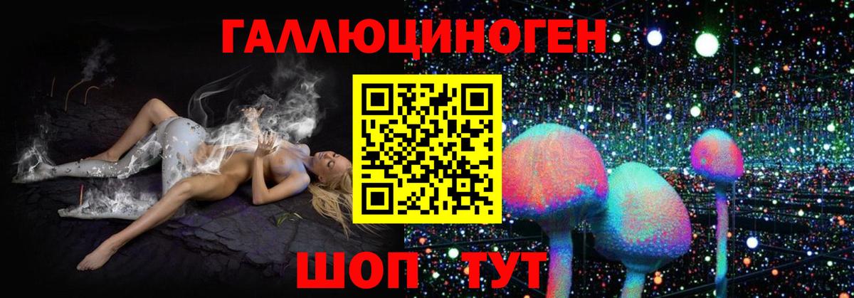 Нальчик  Галлюциногенные грибы прущие грибы  Вход с VPN 